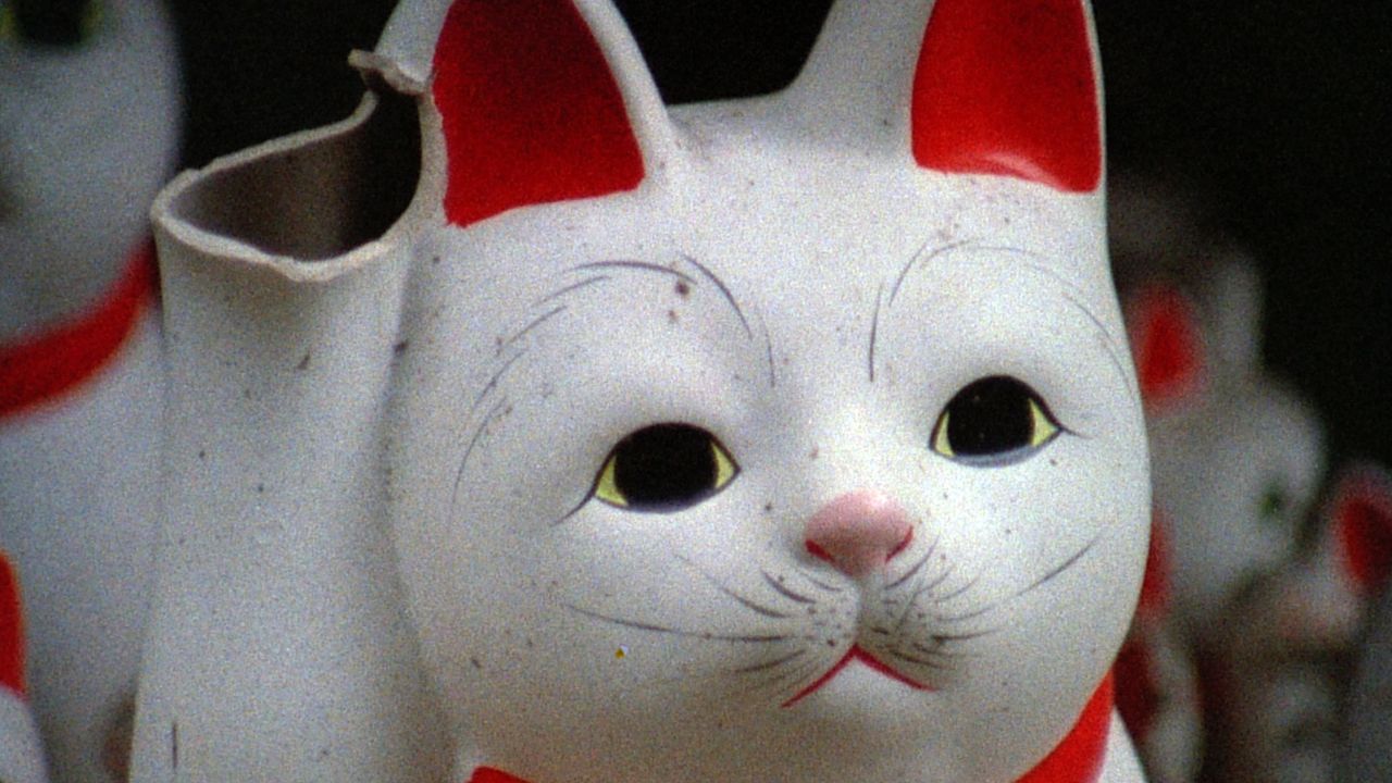 closeup of a lucky cat statue